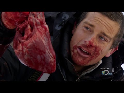 Man vs Wild with Bear Grylls S04E01 - Arctic Circle