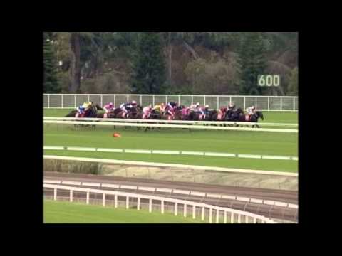 2004 - San Miguel Doncaster Handicap - Private Steer