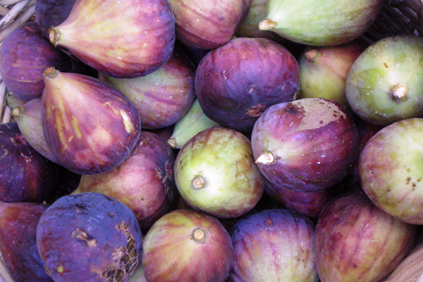 figs