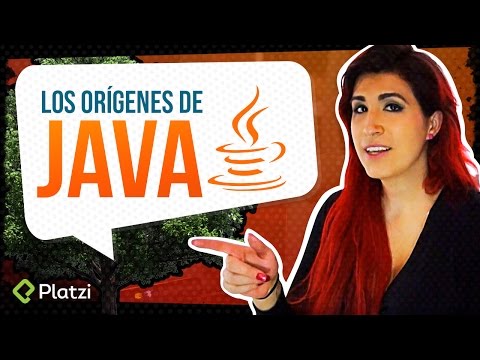 ¿Por qué Java es importante?