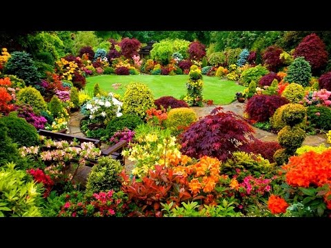 Ideas for Gardens Designs