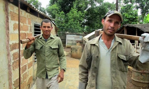 Raúl Martínez and Yuniel Llorente are experts in the field.