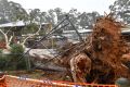 Severe damage from the wind storm at Menzies Creek primary school.