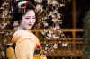 Tradition and modernity: A Geisha in Gion, Kyoto