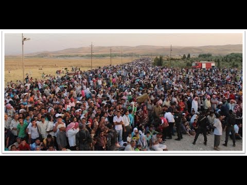 Must See! Crazy European Immigration Crisis