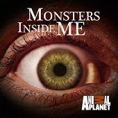 Monsters Inside Me