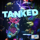 Tanked