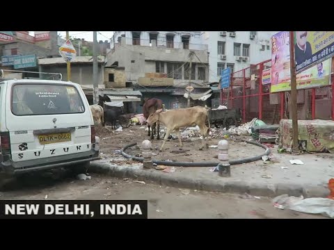 New Delhi - The Capital of Scams - SUBTÍTULOS EN ESPAÑOL