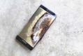 The Note 7 was recalled because it battery could overheat. 