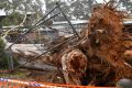 Menzies Creek Primary School in the Dandenongs was severely damaged during Sunday's gale-force winds.