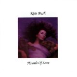 Kate Bush - Hounds of Love