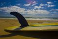 BEACH 00097180 AFR PHOTOGRAPH BY GLENN HUNT 3 DECEMBER 2008.  GENERIC- SUNSHINE BEACH, NOOSA, HOLIDAY, HOLIDAYS, ...