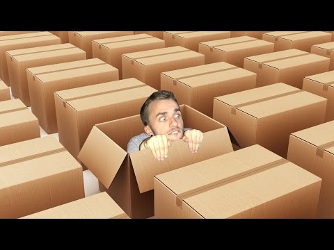 QUI SE CACHE DANS UNE BOÎTE ? (What The Box)