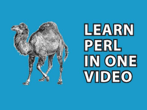 Perl Tutorial