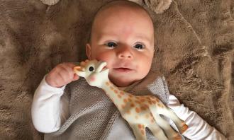 Frankie and Sophie the Giraffe