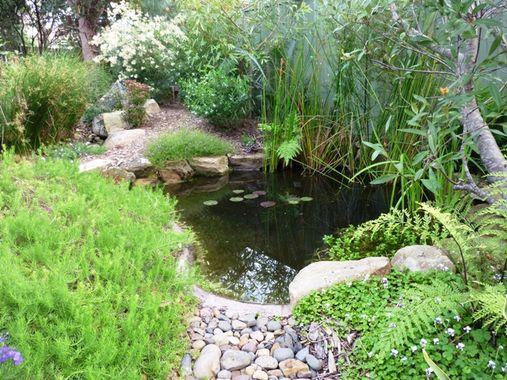 Water Feature Ideas by Creative Nature Landscape Services