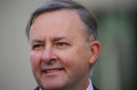 Anthony Albanese, has raised the prospect of the party abolishing a rule that will force all federal ALP MPs to vote for ...