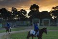 Scottish (left) and Francis Of Assisi head out to a trackwork session at Werribee on Tuesday. 