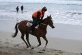 Crest of a wave: Strapper Maddi Raymond works Caulfield Cup hopeful Real Love  at Lady Bay beach.