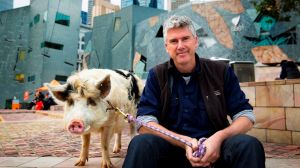 Matthew Evans and a piggy friend.