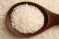 Rice varieties and uses