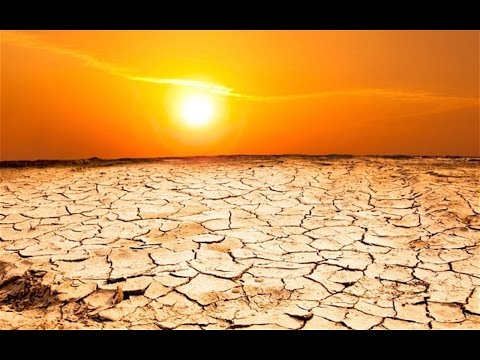 NASA Warns Of Mass Extinction If We Don't Fix Climate Change