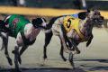 NSW Premier Mike Baird is preparing to reverse a planned ban on greyhound racing in NSW.