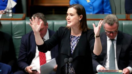 Minister for Revenue and Financial Services Kelly O'Dwyer has been blamed for the error.