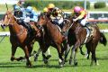 Contenders again: Guard Of Honour, Hair Trigger and Flash Fibian fight out the finish of the Heritage Stakes.