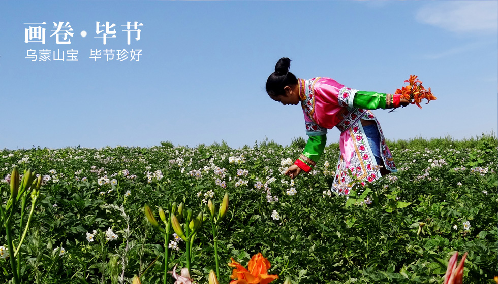 乌蒙山宝 毕节珍好