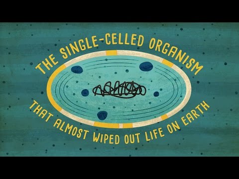 How a single-celled organism almost wiped out life on Earth - Anusuya Willis