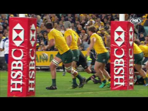 Rugby Championship 2016 Rd #1: Australia v New Zealand