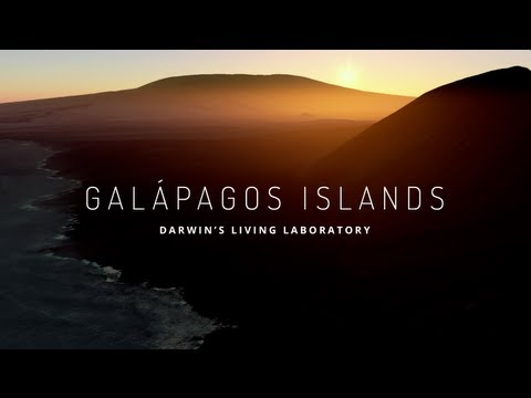 Explore the Galapagos Islands with Google Maps