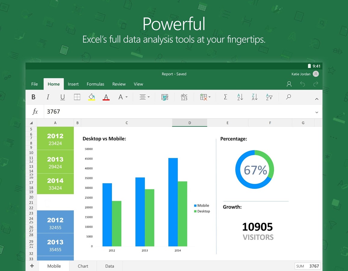    Microsoft Excel- screenshot  