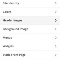 Theme Customizer