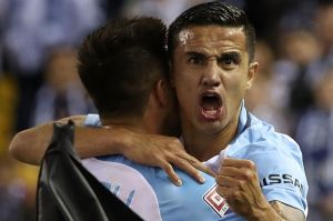 Tim City: Cahill celebrates after scoring the opening goal.