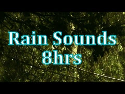 "Rain" 8 hours of "Rain Sounds"    "Sleep Sounds"