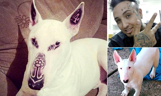 A dog with five tattoos has appeared online