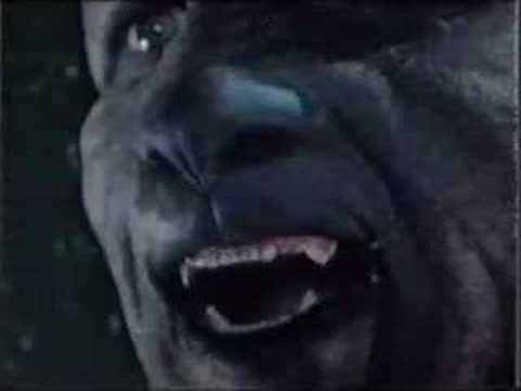 Manimal (panther transformation sequence)