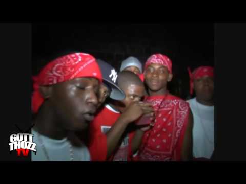 BLOODS in the BRONX NY (GANG LAND)