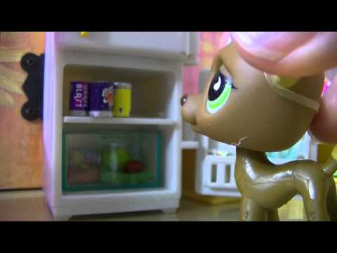 ❀Littlest Pet Shop: Behind the Scenes (Café)