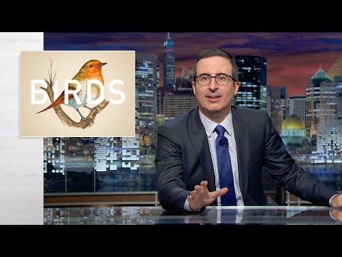 Birds: Last Week Tonight with John Oliver (Web Exclusive)