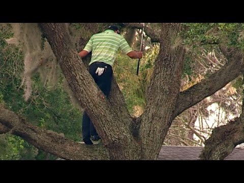 Top-10 tree encounters on the PGA TOUR