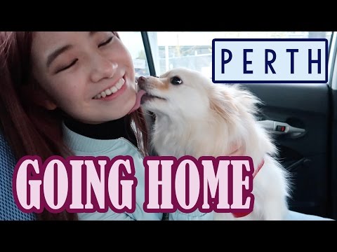 GOING HOME | BACK to AUSTRALIA | Seeing my dog again! | KimDaoVlog