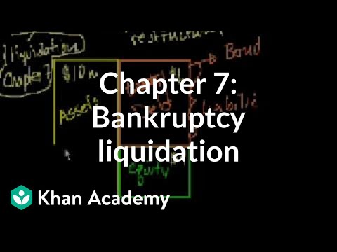 Chapter 7:Bankruptcy Liquidation