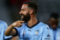 All smiles: Sydney FC captain Alex Brosque.