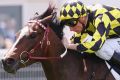 Jockey Blake Shinn riding Jennifer Lynn wins the MyPunter.com Plate on Caulfield Cup day.