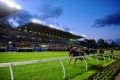 The Moonee Valley Racecourse hosts The Cox Plate on October 22 this year.