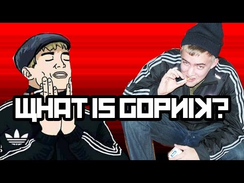 What is Gopnik?