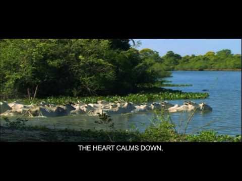 Descubra Mato Grosso